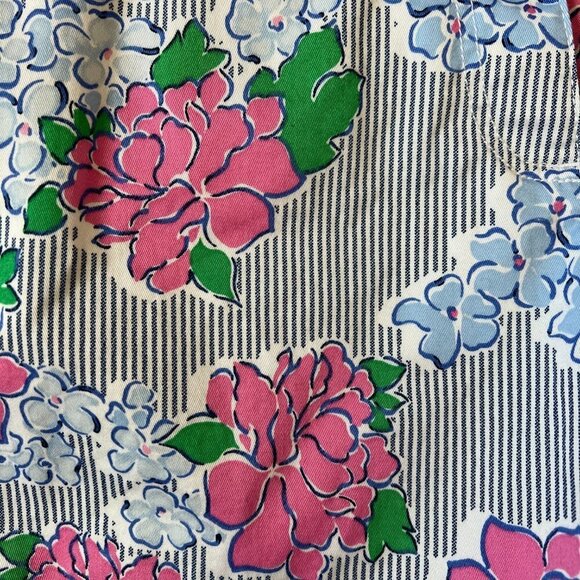 Crown & Ivy Caroline Blue Pin Striped Pink Floral Shorts Sz 6P - Picture 2 of 8